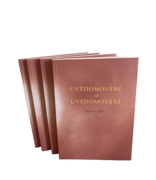 Uvědomování si Uvědomování